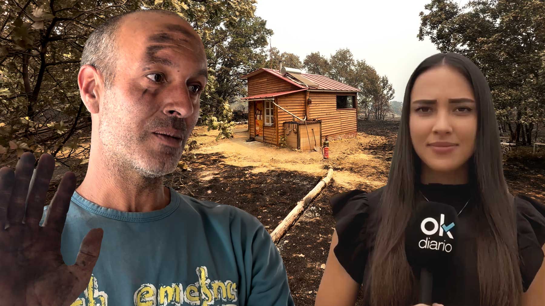 Incendis forestals: supervivència | Tràmits ™