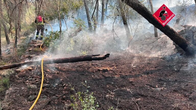 Incendi forestal a Alacant | Tràmits ™