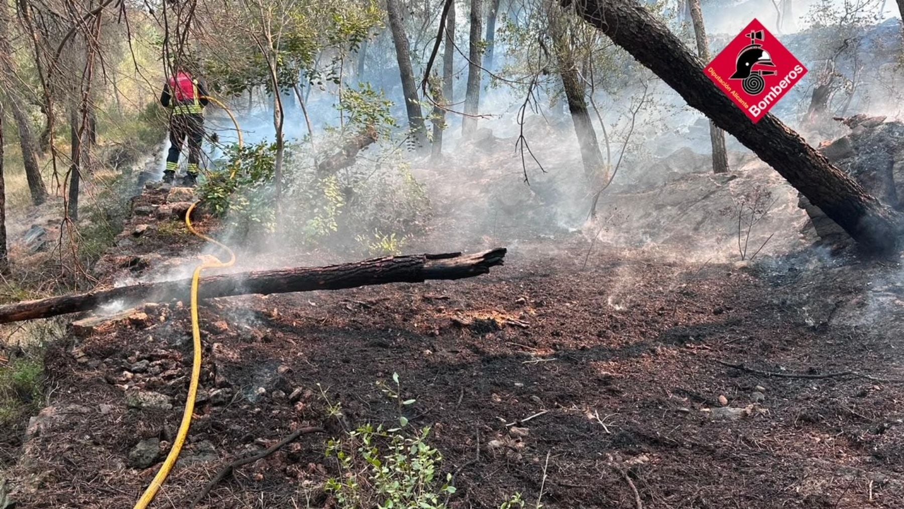 Incendi forestal a Alacant | Tràmits ™