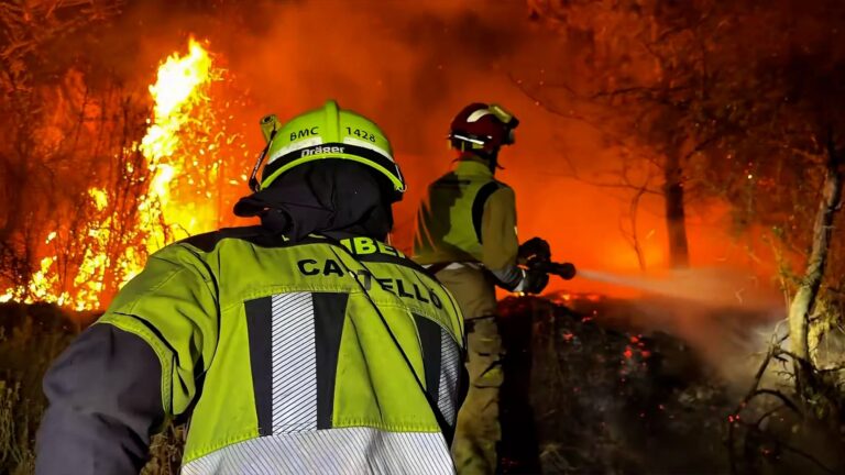 Incendi forestal a Soneja: la Seprona investiga les causes del foc Incendi forestal a Soneja: la Seprona inves | Tràmits ™