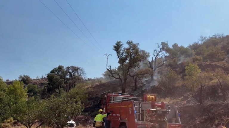 Incendis forestals a la Valenciana: situació actualitzada i mesures per afrontar l'onada de calor Incendis forestals a la Valenciana: actuali | Tràmits ™