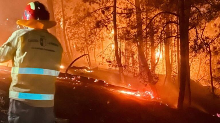 Incendios forestales en España | Tràmits ™