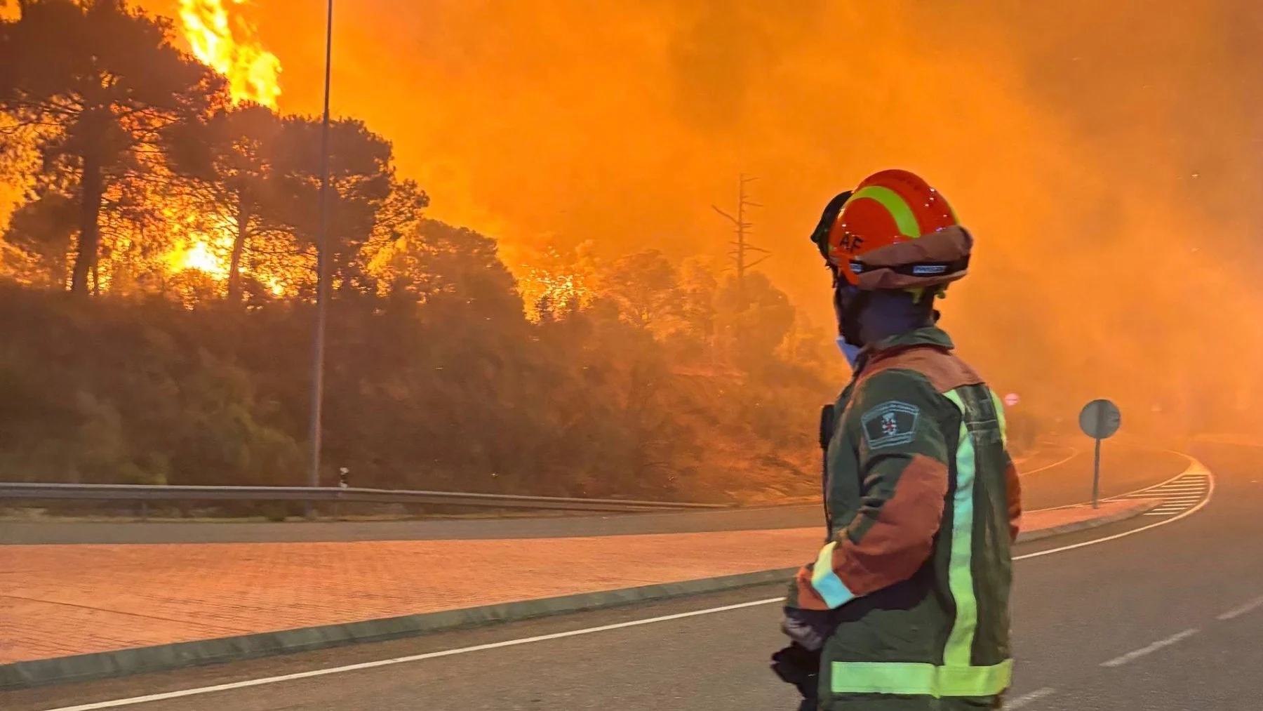 Incendis a Madrid: últimes notícies | Tràmits ™