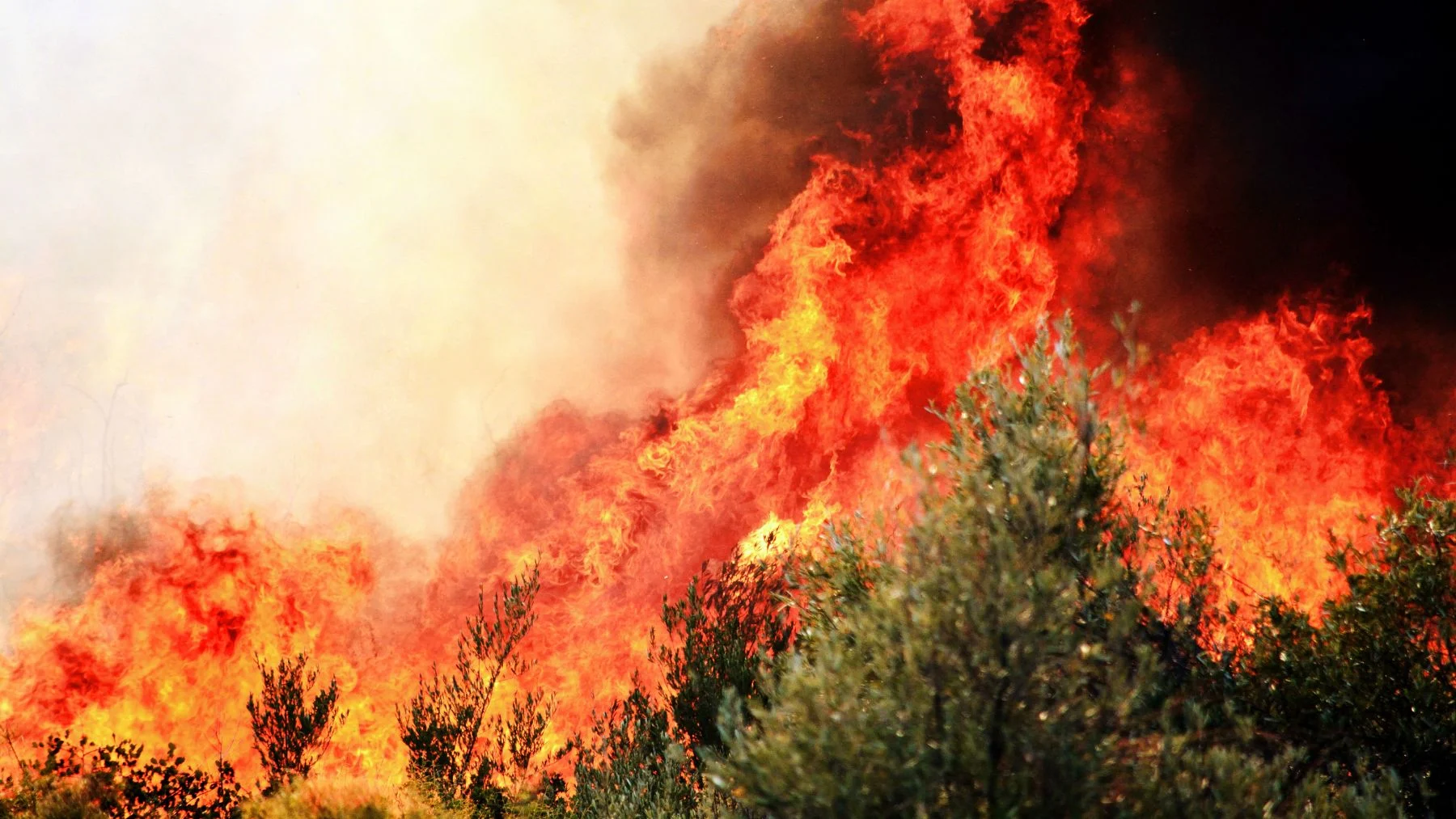 Incendis actius a Espanya avui | Tràmits ™
