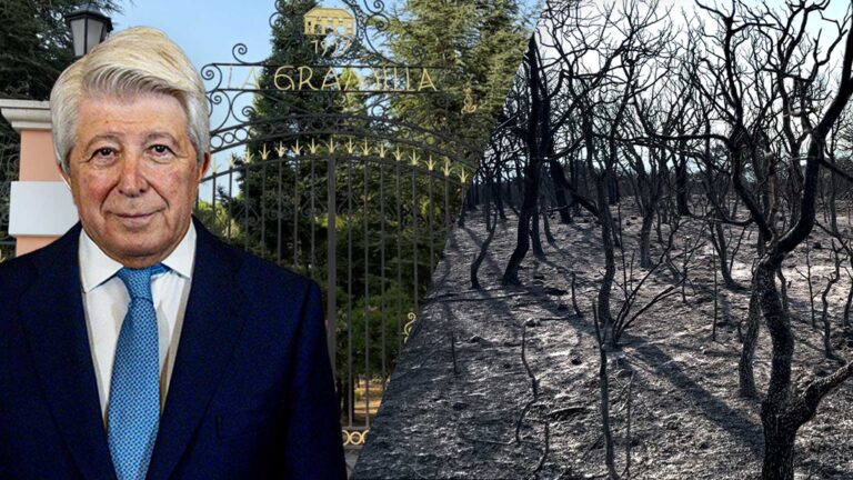 L'incendi forestal a 'La Granjilla' deixa un paisatge desolador Incendi forestal a 'La Granjilla' | Tràmits ™