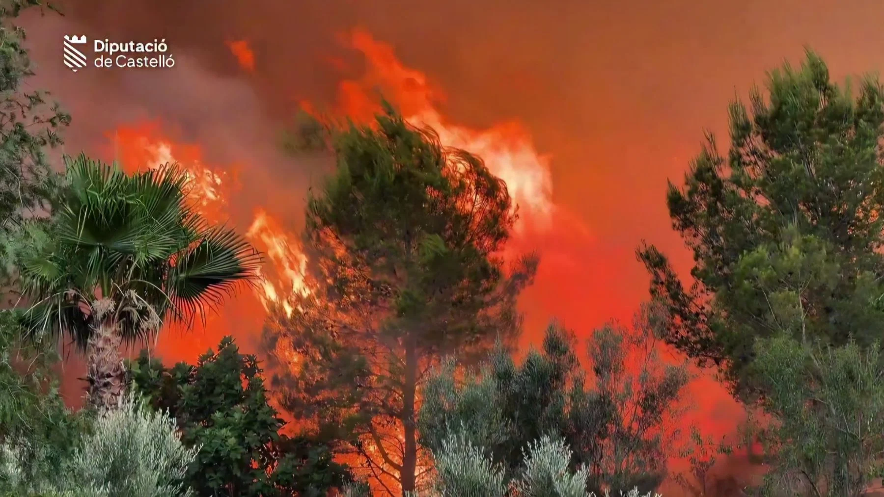 Incendis forestals a Soneja: evacuació d'Az | Tràmits ™
